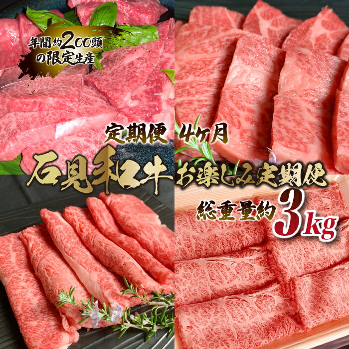 石見和牛お楽しみ定期便 （焼肉・すき焼き）総重量約3kg