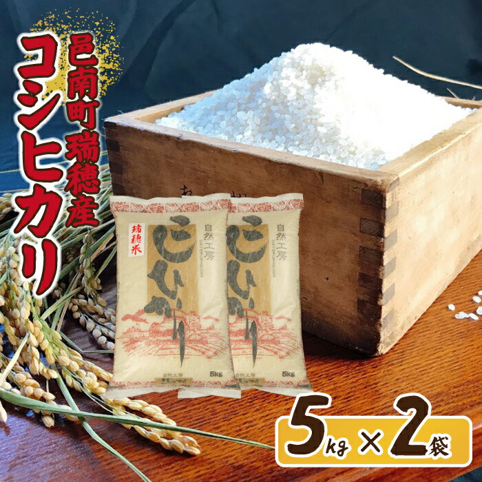 【ふるさと納税】令和5年産邑南町瑞穂産コシヒカリ　5kg×2