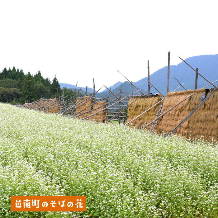 記事番号:37109/アイテムID:443205の画像