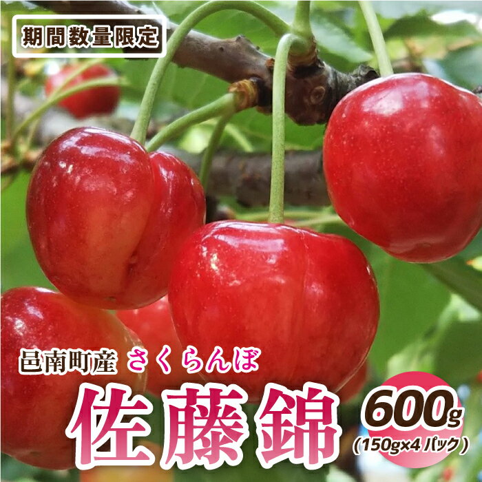 [先行予約]邑南のさくらんぼ(佐藤錦)600g