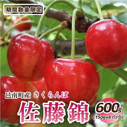 【先行予約】邑南のさくらんぼ（佐藤錦）600g