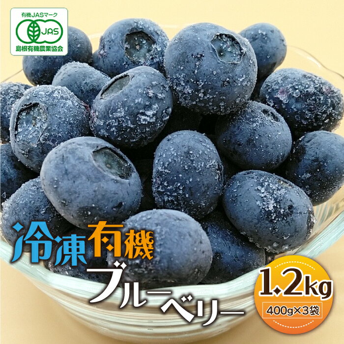 【ふるさと納税】【数量限定】冷凍有機ブルーベリー 1.2kg（400g×3袋）