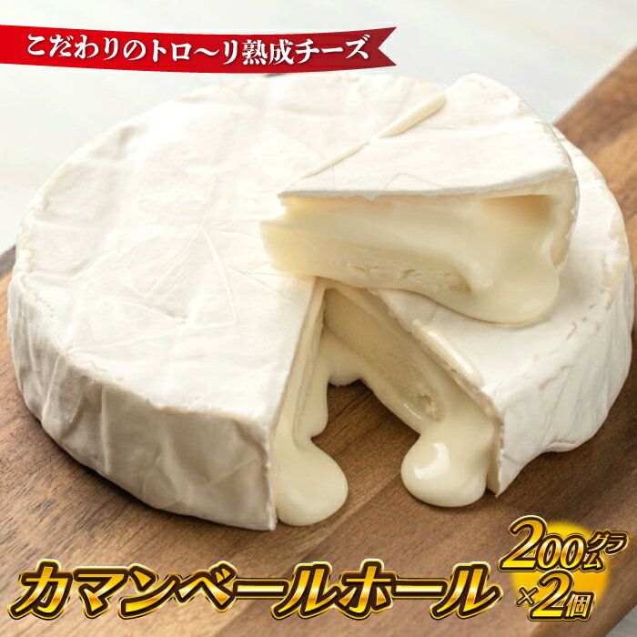 全国お取り寄せグルメ島根チーズ・乳食品No.7