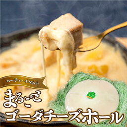 【ふるさと納税】まるごと ゴーダチーズホール