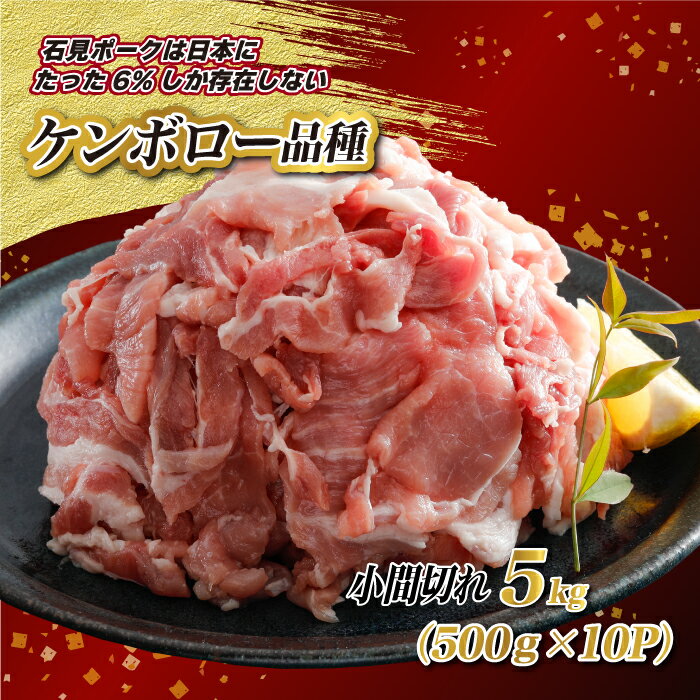 【ふるさと納税】豚肉　石見ポーク小間切れ5kg（500g×10パック）