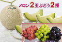 【ふるさと納税】【2020年9月発送】メロンL2玉、ぶどう2...