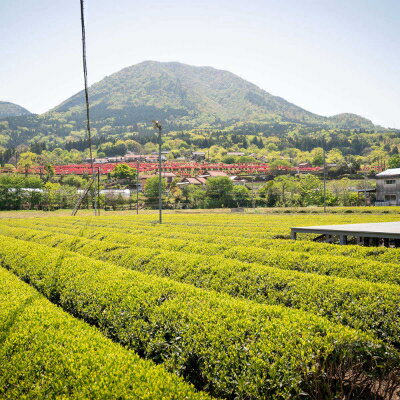 島根県津和野町の画像3