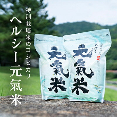 高津川の恵み 特別栽培米ヘルシー元氣米2kg×2袋(4kg)(令和5年産)【1209634】