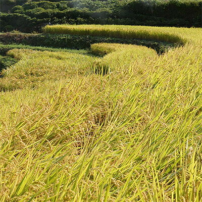 島根県津和野町の画像3
