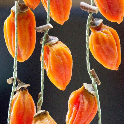 島根県津和野町の画像3