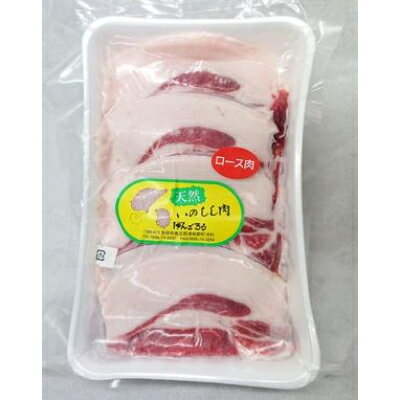 島根県津和野町の画像2