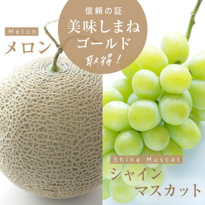 メロン2L1玉シャインマスカット1房セット【2024年9月発送】【配送不可地域：離島】【1212156】