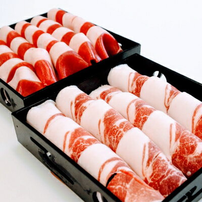 【猪肉好きにはたまらない脂身多め】人気のジビエ・イノシシ肉スライス1kg (250g×4パック)【配送不可地域：離島】【1218350】