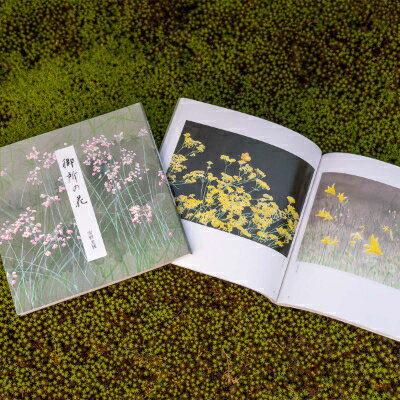 【ふるさと納税】【数量限定】画家、安野光雅が描いた『御所の花』と『中国路』の2冊セット【1227699】