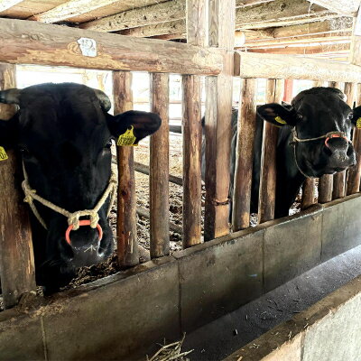 島根県津和野町の画像2
