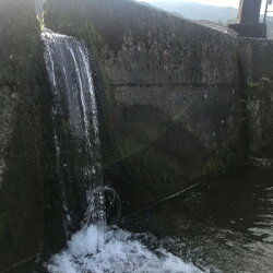 【ふるさと納税】【津和野初のクラフトビール6本セット】青野山の湧水と津和野の蜂蜜を使用した喉越しの良いペールエール【配送不可地域：離島】【1278223】･･･ 画像2