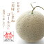 【ふるさと納税】メロンパークのメロン【2025年8月より順次発送・2Lサイズ2玉】【1359320】 14,000円
