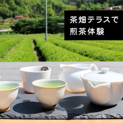 [参加チケット]茶畑を一望するお茶農家のテラスで煎茶体験&飲み比べ