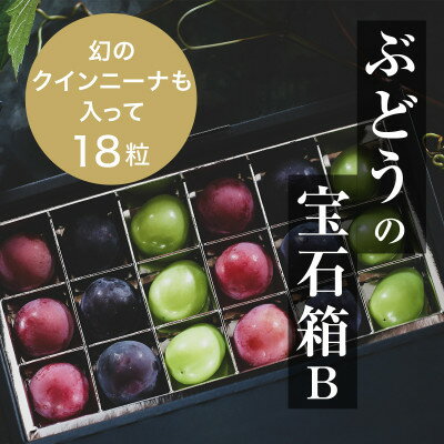 『ぶどうの宝石箱B』(3品種)【2024年9月より順次発送/ふるさと納税限定/数量限定】【配送不可地域：離島】【1458789】