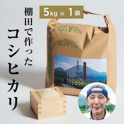 【ふるさと納税】青野山の湧水と朝晩の寒暖差が育んだ棚田の甘~い米「コシヒカリ」(白米5kg×1袋)(令和7年産)【1524991】
