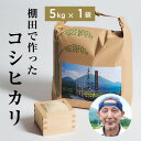 【ふるさと納税】青野山の湧水と朝晩の寒暖差が育んだ棚田の甘〜い米「コシヒカリ」(白米5kg×1袋)(令和7年産)【1524991】