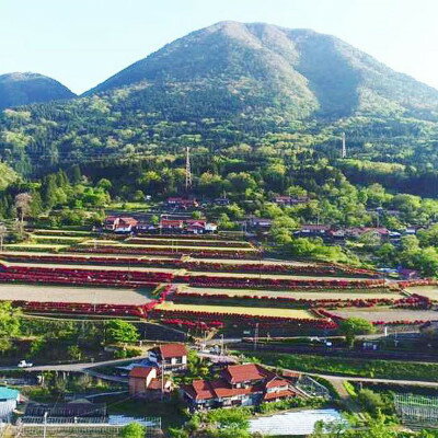 島根県津和野町の画像2