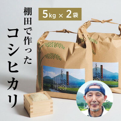 【ふるさと納税】青野山の湧水と朝晩の寒暖差が育んだ棚田の甘~い米「コシヒカリ」(白米5kg×2袋)(令和7年産)【1524992】