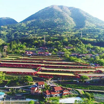 島根県津和野町の画像2