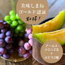 【ふるさと納税】【2025年9月より順次発送・先行予約】アールスメロン2L2玉+ぶどう3種のフルーツ堪能セット【配送不可地域:離島】【1553256】