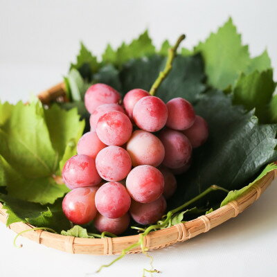 島根県津和野町の画像3