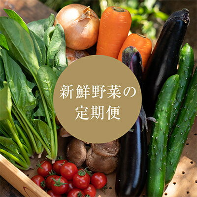 [発送月固定定期便]2024年8月発送開始 季節の野菜詰め合わせセット全4回[配送不可地域:離島]