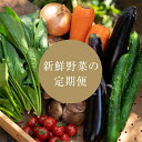 名称 【発送月固定定期便】2024年8月発送開始 季節の野菜詰め合わせセット全4回 保存方法 冷蔵 発送時期 【1回目】発送月の前月末日までのお支払いで発送月中旬より発送開始【2回目以降】発送月中旬より順次発送 提供元 成行屋 配達外のエリア 離島 お礼品の特徴 発送月固定の定期便です。 朝晩の寒暖差によって味と香りの濃い野菜に育ちます。 島根県津和野町の生産者が大切に育てた旬の採れたて野菜(6～8種)を詰め合わせたセットです。中国山地の山あいに位置する津和野町は、多品目少量栽培の生産者が多く、「これ」といった町を代表する野菜はありませんが、盆地ならではの寒暖差が味が濃く、香り高い野菜になると評判です。その時の一番美味しい野菜をご賞味ください。 【野菜のお届け例】 島根県津和野町の旬の採れたて野菜(下記の中から6種～8種) カラーピーマン・グリーンリーフ・さつまいも・ニンニク・ほうれん草・ミディトマト・ミニトマト(アイコ)・ゆず・菌床しいたけ・栗・原木しいたけ・三つ葉・春菊小松菜・鷹の爪・中玉トマト・白ネギ・坊ちゃんかぼちゃ・里芋・なす・ピーマン・甘長とうがらし・きゅうり・オクラ・ゴーヤ・ズッキーニ・玉ねぎ ※種類・個数はお選びいただけません。 ■生産者の声 小さな町の小さな生産者さんをつないで届けます。 農業者の後継不足やそれに伴う農産物の販売力低下の課題をもつ津和野町。農家さんと長年信頼を築いてきた「成行屋」では、生産者さんから直接野菜を仕入れ、直接発送します。 津和野は山間部の小さい農地をメリットとして捉え、大型機械や栽培期間中農薬の使用を控え、コツコツ手間暇かけた野菜作りを生産者全員が目指しています。 生産者が減ると耕作放棄地が増え、雑草や害虫、獣害や水害のリスクが高まり、津和野町の産業衰退が危ぶまれます。 美味しい野菜を通じて津和野を知っていただき、農地と農家(生産者)を残していきたいと考えています。どうぞ応援をよろしくお願いします。 ■お礼品の内容について 【8・10・12・2月】野菜定期便 ・旬の採れたて野菜[旬の採れたて野菜(6種～8種)] 　　原産地:島根県津和野町 　　賞味期限:出荷日+5日 ■注意事項/その他 ・季節によって野菜の種類は異なります。お届けする野菜の種類はお選びいただけませんので、ご了承下さい。 ・返礼品が到着いたしましたら、その日のうちに開梱し、冷凍保存が必要な野菜は保存をお願いします。 ・賞味期限は目安となります。できるだけお早めにお召し上がりください。 ■原材料:お礼品に記載 ※アレルギー物質などの表示につきましては、お礼品に記載しています。 ■定期便に関するご注意 ※寄付申し込み後に発送時期の変更はできません。 ※寄付先自治体や提供事業者の事情や天候、交通事情その他の事情等により、お礼品の調達および発送に支障が生じた場合には、お届けが遅れることがあります。あらかじめご了承ください。 ※提供元の都合により、年末年始等の長期休業期間を避けて配送することがあります。 ※発送される曜日は、回ごとに変わる場合があります。 ・ふるさと納税よくある質問はこちら ・寄附申込みのキャンセル、返礼品の変更・返品はできません。あらかじめご了承ください。このお礼品は以下の地域にはお届けできません。 ご注意ください。 離島