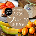 【ふるさと納税】【発送月固定定期便】フルーツ定期便B 旬の美味しい果物を毎月1種 全4回【配送不可地域:離島】【4014406】