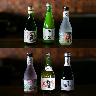 【ふるさと納税】【発送月固定定期便】《地酒飲み比べ》3つの蔵元・ミニボトル3本セット(偶数月発送)全6回【4084366】