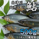 【ふるさと納税】高津川天然あゆ冷凍 500g(吉賀町)【配送不可地域:離島】【1259201】