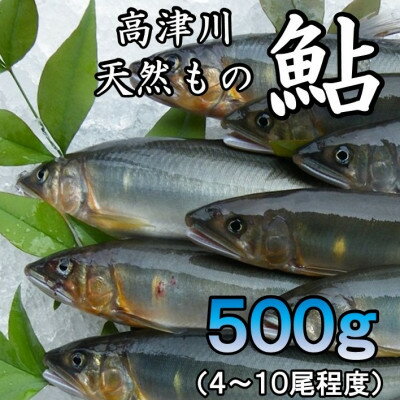 高津川天然あゆ冷凍　500g(吉賀町)【配送不可地域：離島】【1259201】