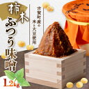 【ふるさと納税】柿木ふつう味噌 1.2kg【1259217】