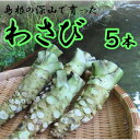【ふるさと納税】根わさび 5本(真空パック入り)【配送不可地域:離島】【1259672】