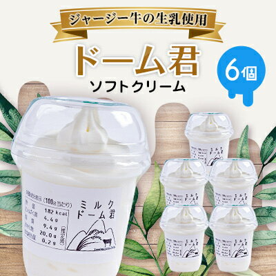 3位! 口コミ数「0件」評価「0」ジャージー牛の生乳を使用したソフトクリーム　ドーム君　6個入り【配送不可地域：離島】【1260021】