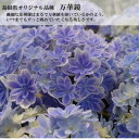 島根県吉賀町の画像2