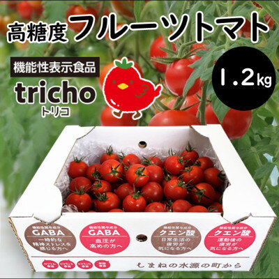 【ふるさと納税】高糖度フルーツトマト「tricho(トリコ)」1.2kg【配送不可地域：離島】【1420206】のサムネイル