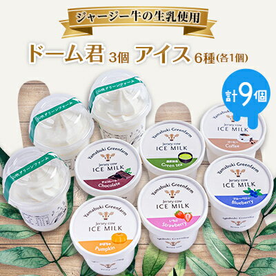 69位! 口コミ数「0件」評価「0」ジャージー牛の生乳を使用したドーム君3個とアイス6種(各1個)セット【配送不可地域：離島】【1432472】