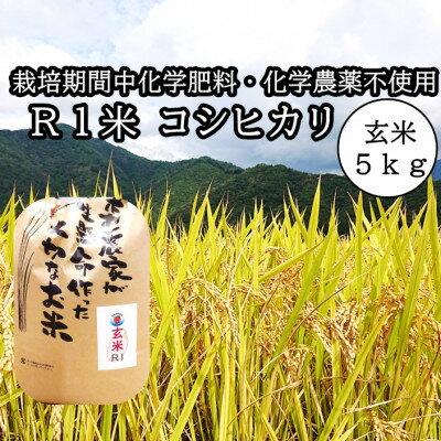 [栽培期間中化学肥料・化学農薬不使用]令和5年産R1米コシヒカリ5kg(玄米)