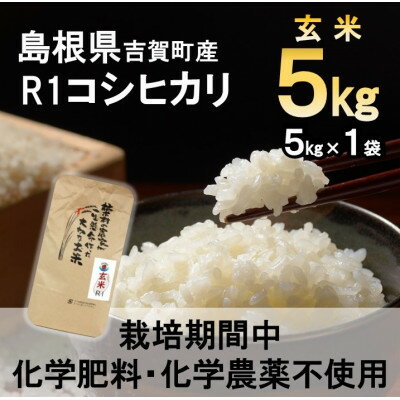 【ふるさと納税】【栽培期間中化学肥料・化学農薬不使用】令和5年産R1米コシヒカリ5kg(玄米)【1448680】