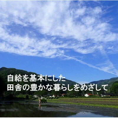 【ふるさと納税】【栽培期間中化学肥料・化学農薬不使用】令和5年産R1米コシヒカリ5kg(玄米)【1448680】