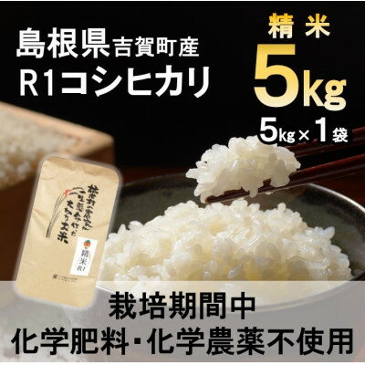 [栽培期間中化学肥料・化学農薬不使用]令和5年産R1米コシヒカリ5kg(精米)