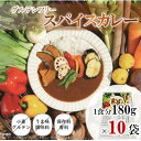 【ふるさと納税】スパイスカレー レトルト 180g×10袋【1534743】