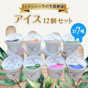 【ふるさと納税】ジャージー牛の生乳を使用したアイス12個セット【配送不可地域:離島】【1576692】