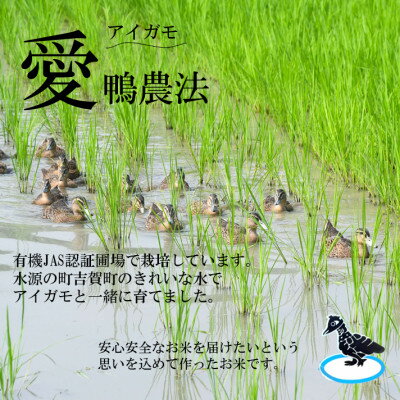 島根県吉賀町の画像2