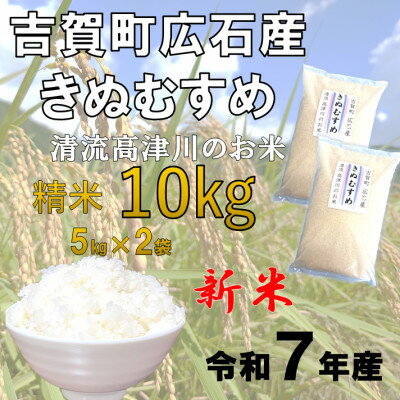 【ふるさと納税】令和7年産 吉賀町広石産きぬむすめ 清流高津川のお米 精米10kg【1679151】